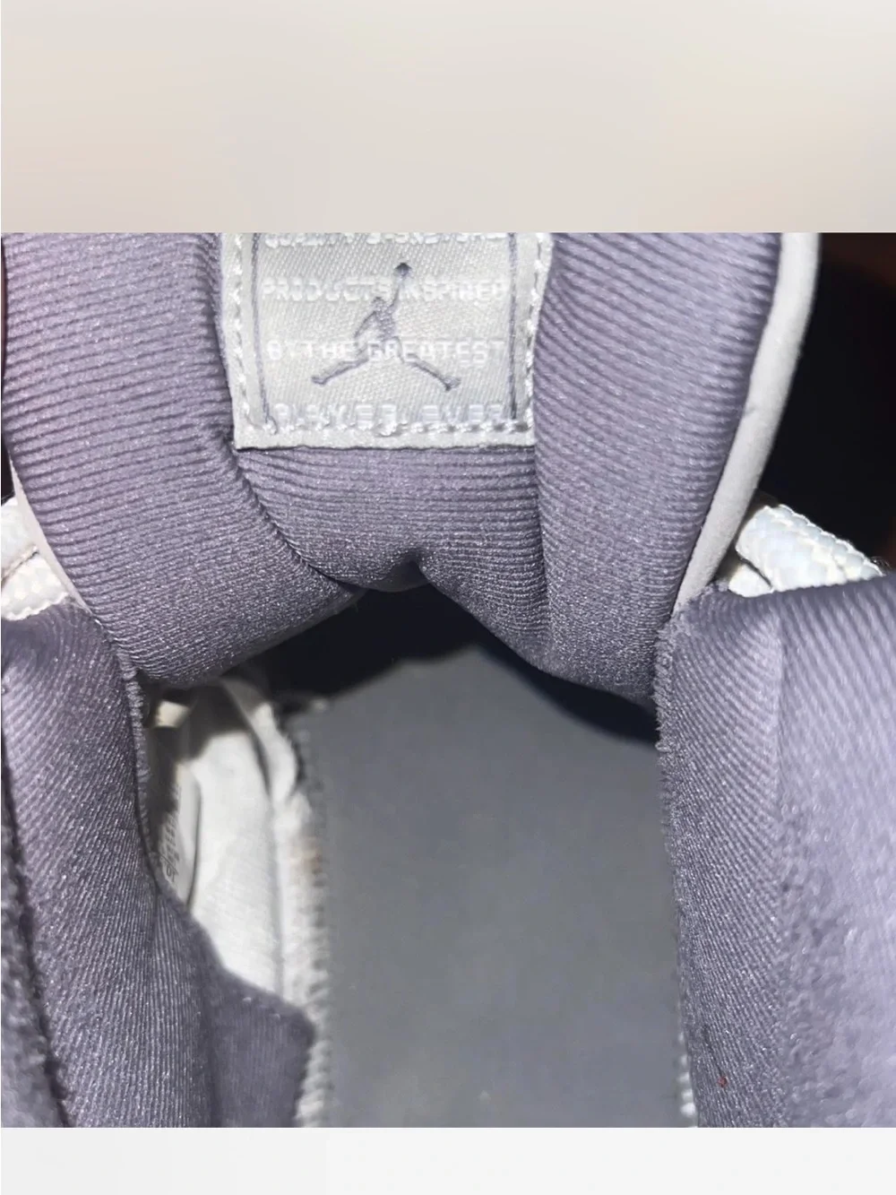 Jordan 11 cool grey size 10.5 men
